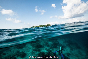 Sipadan island and a diver. by Mehmet Salih Bilal 